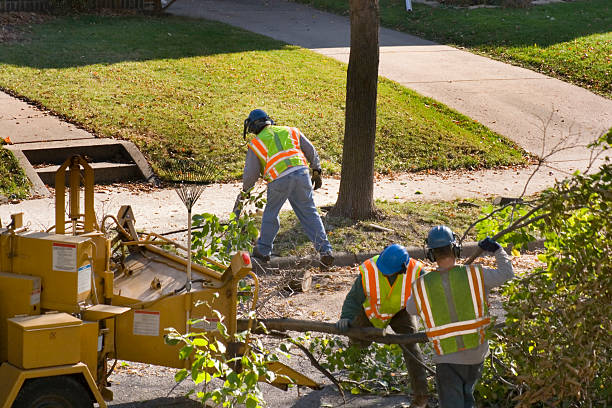 Best Utility Line Clearance  in Chattanooga, TN